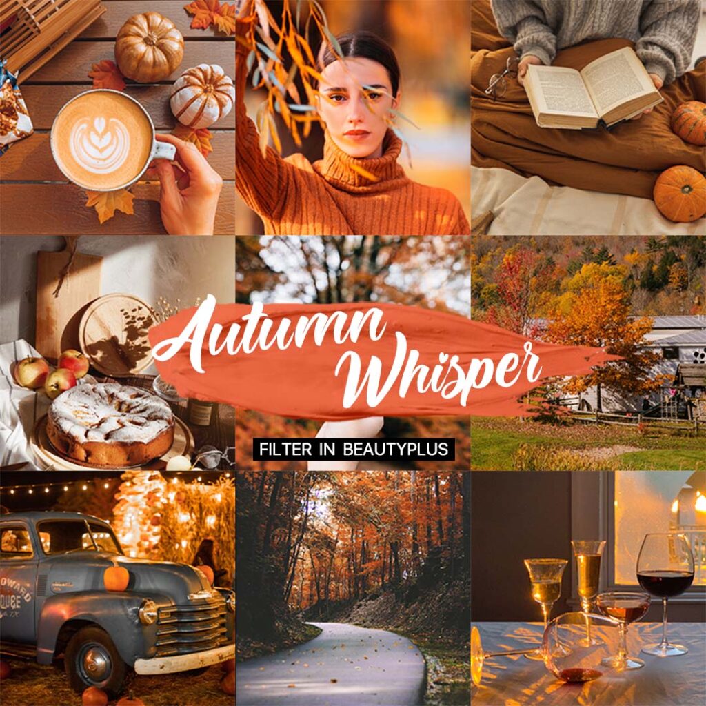 BeautyPlus autumn filter