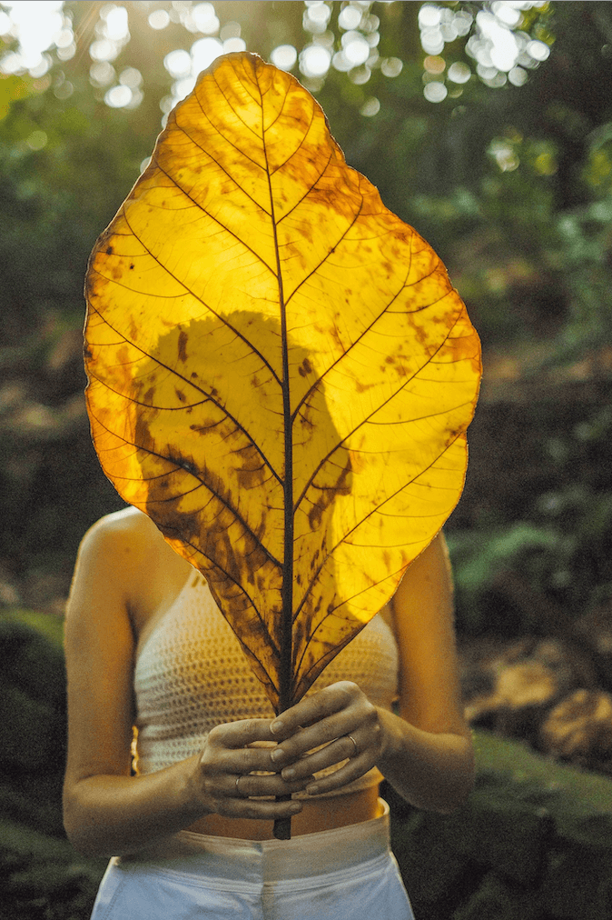 leaf as a prop