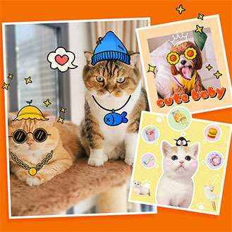 BeautyPlus Editing Tips to Make Your Pet Portraits Perfect