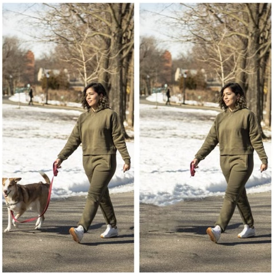 Remove Animal or Pets from Photos - Dog