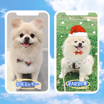 pet edits with BeautyPlus
