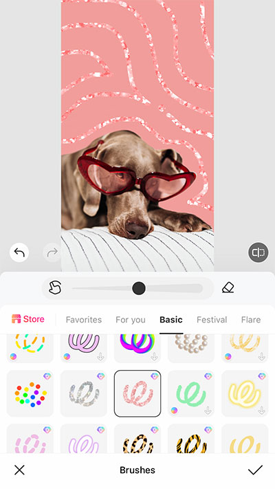 Creative pet edit ideas