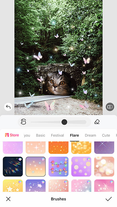 Creative pet edit ideas