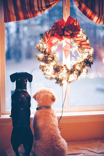Aesthetic Christmas photo ideas