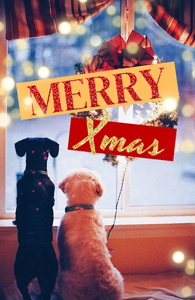Aesthetic Christmas photo ideas