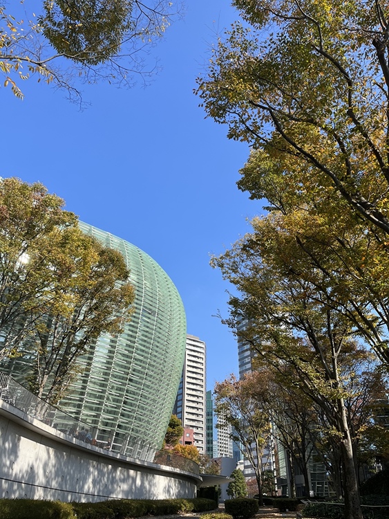 エモい写真の加工方法
