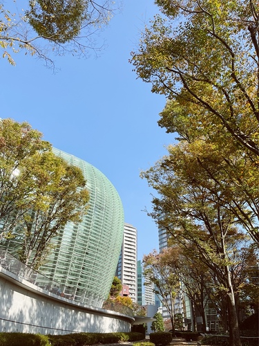エモい写真の加工方法