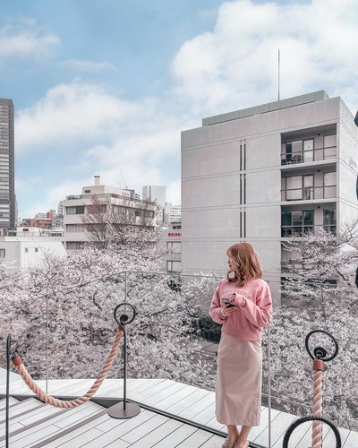 関東のおすすめ桜スポットと桜と一緒にきれいに写すコツをご紹介-桜の写真の撮り方-