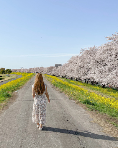 関東のおすすめ桜スポットと桜と一緒にきれいに写すコツをご紹介-桜の写真の撮り方-