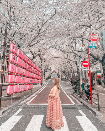 関東のおすすめ桜スポットと桜と一緒にきれいに写すコツをご紹介-桜の写真の撮り方-