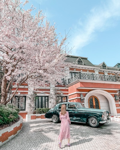 関東のおすすめ桜スポットと桜と一緒にきれいに写すコツをご紹介-桜の写真の撮り方-