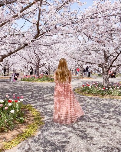 関東のおすすめ桜スポットと桜と一緒にきれいに写すコツをご紹介-桜の写真の撮り方-