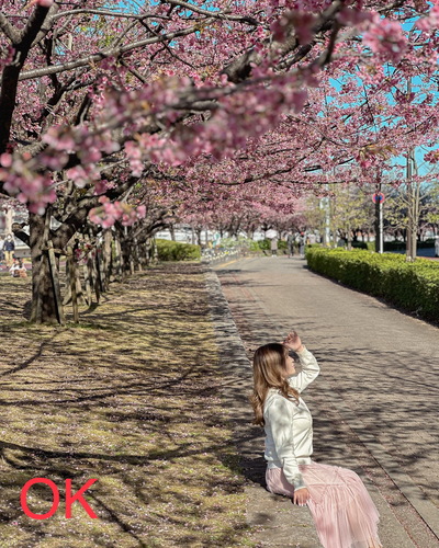 関東のおすすめ桜スポットと桜と一緒にきれいに写すコツをご紹介-桜の写真の撮り方-