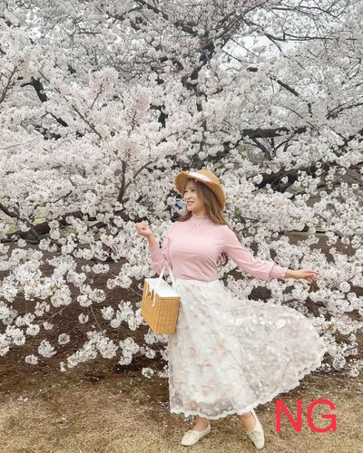 関東のおすすめ桜スポットと桜と一緒にきれいに写すコツをご紹介-桜の写真の撮り方-