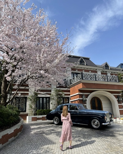 関東のおすすめ桜スポットと桜と一緒にきれいに写すコツをご紹介-桜の写真の撮り方-