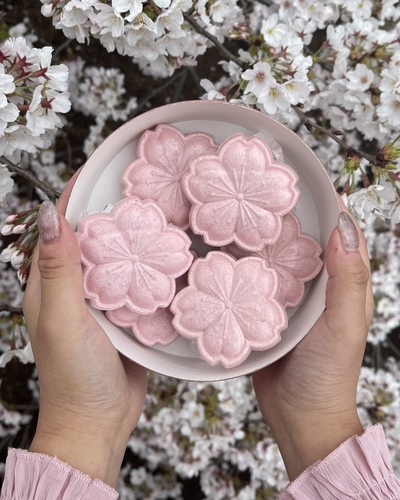 関東のおすすめ桜スポットと桜と一緒にきれいに写すコツをご紹介-桜の写真の撮り方-