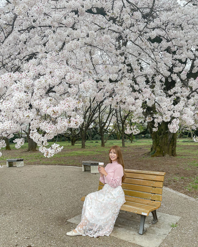 関東のおすすめ桜スポットと桜と一緒にきれいに写すコツをご紹介-桜の写真の撮り方-