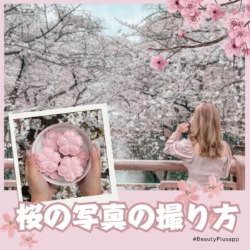 関東のおすすめ桜スポットと桜と一緒にきれいに写すコツをご紹介-桜の写真の撮り方-