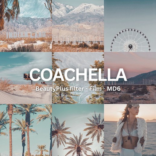 creative and unique photo ideas to capture the Coachella 2023 experience