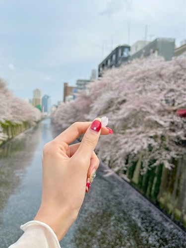 桜のキレイな撮り方&編集テクニック