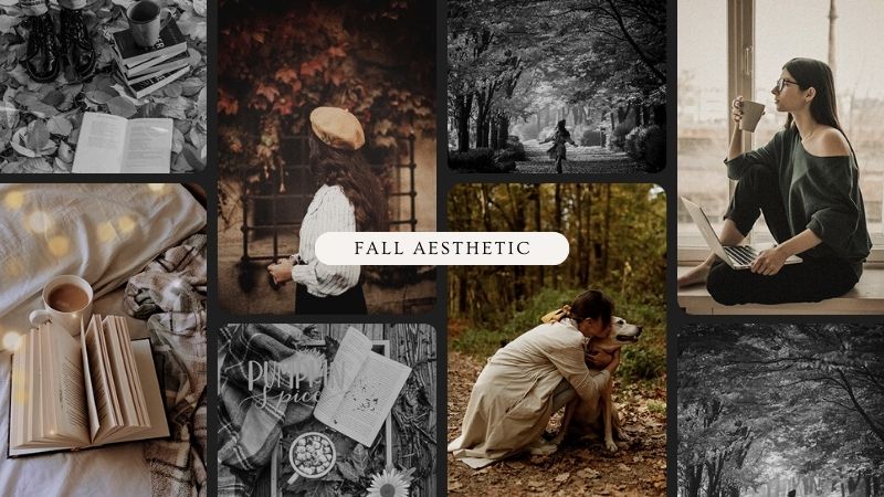 Fall Aesthetic – How to Do Color Adjustment for Fall Photos