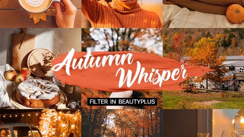 5 Aesthetic Ideas for Fall Picture Edits