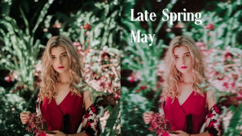 Keep Spring in Your Photos! Flower Theme Editing & Shooting Skills