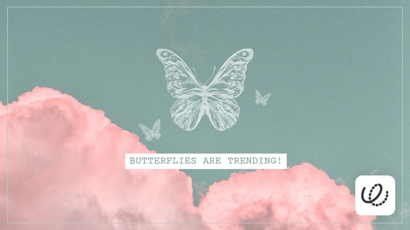 BUTTERFLIES ARE TRENDING!