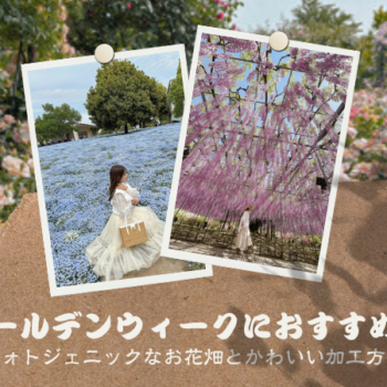 フォトジェニックなお花畑とかわいい加工方法