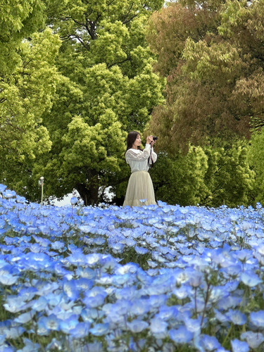 フォトジェニックなお花畑とかわいい加工方法