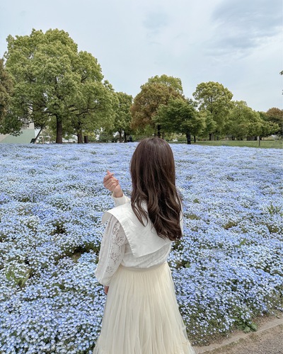 フォトジェニックなお花畑とかわいい加工方法