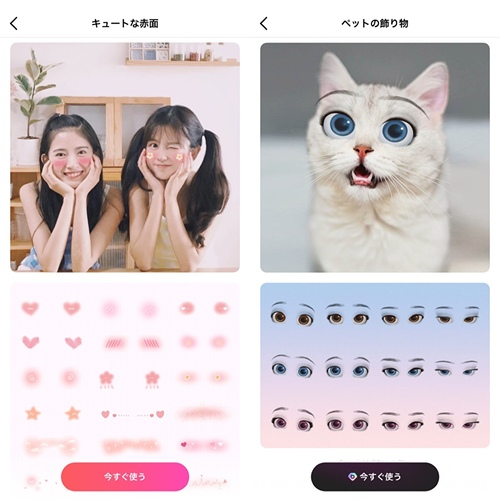 ペットが100倍かわいくなる写真加工方法