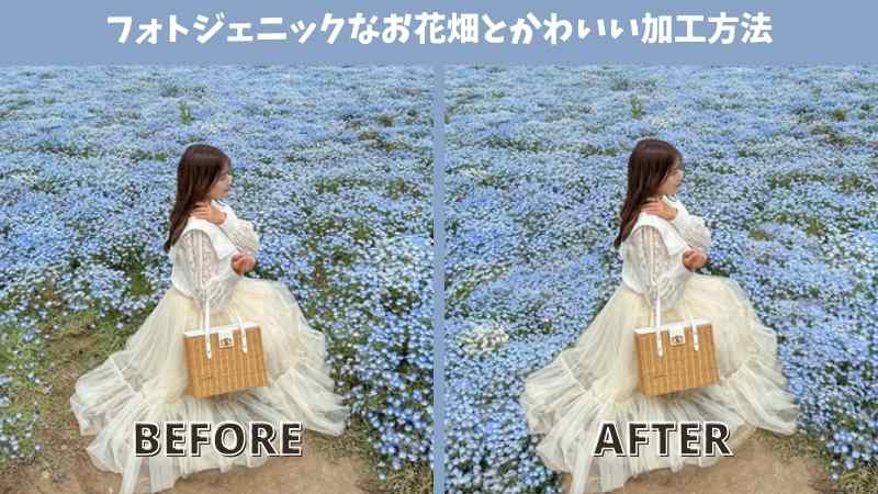 ゴールデンウィークにおすすめ！フォトジェニックなお花畑とかわいい加工方法