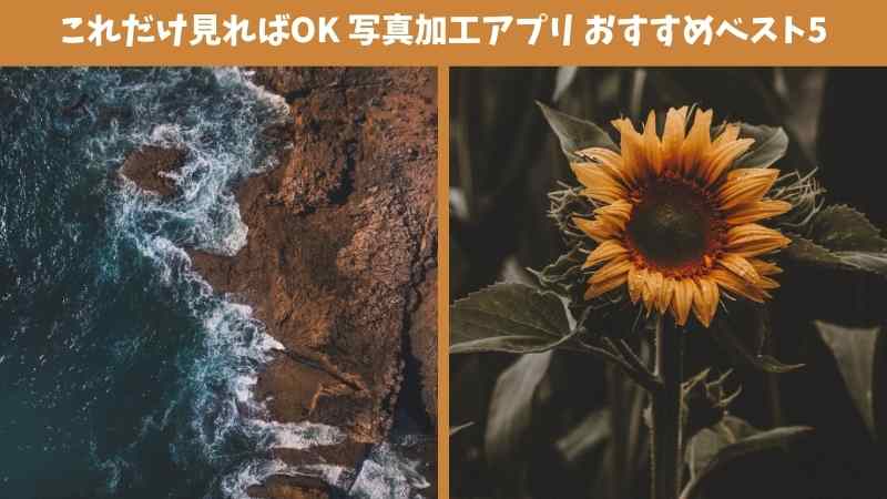 【無料】2025年最新人気の無料写真加工アプリおすすめベスト5選