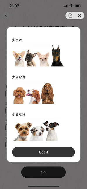 AI pet portrait