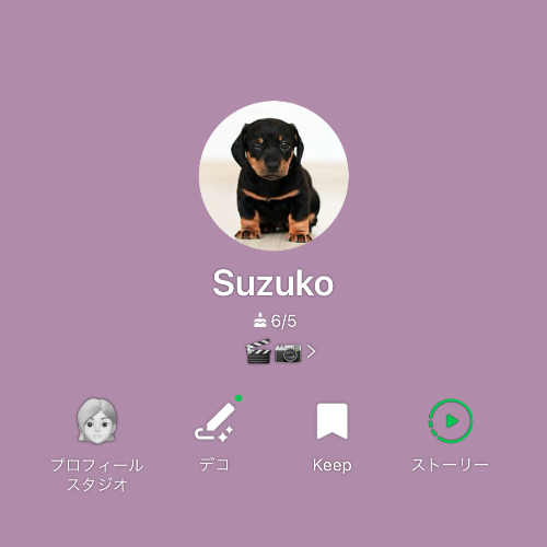 ペットの写真