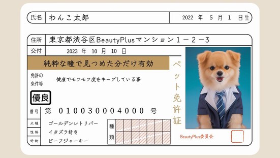 ペット証明写真をかわいく撮るコツ