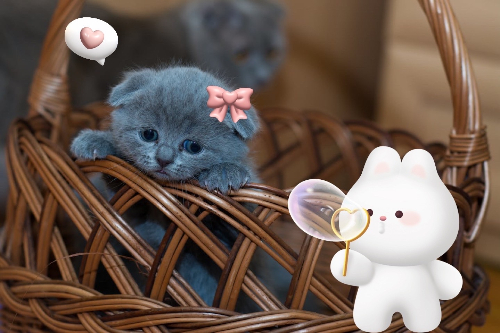 「うさぎ」のスタンプを使った加工例