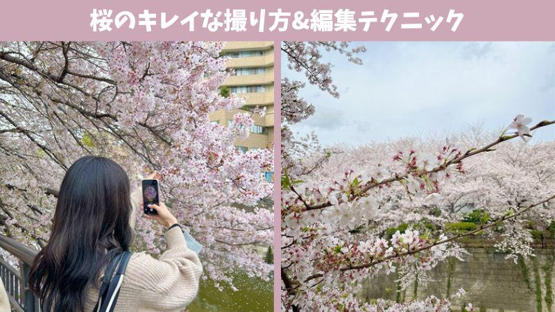 桜の綺麗な写真と撮り方
