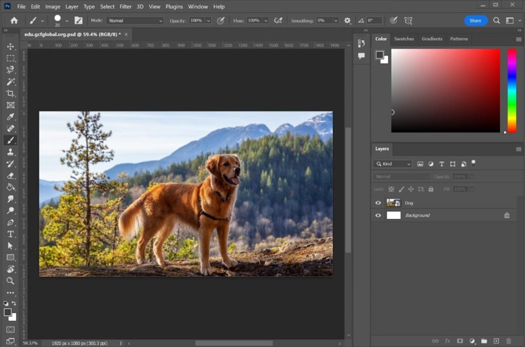 Photoshop画像高品質化ツール