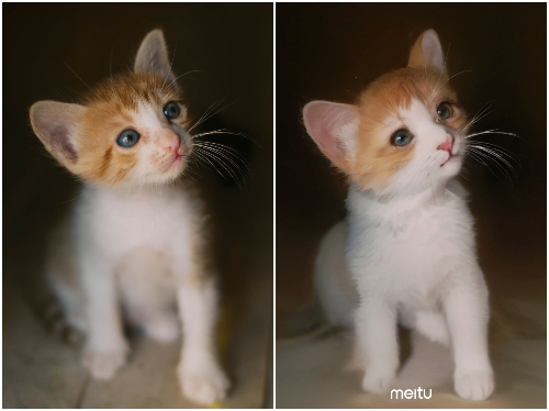 ←Before　After→