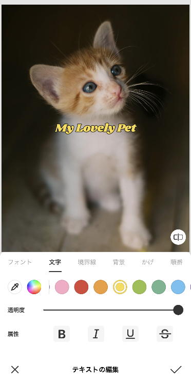 6.文字のカラーや境界線を設定する