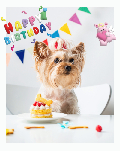 誕生日におすすめのテンプレートを使った加工例