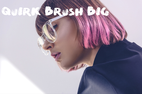 Quirk Brush Big