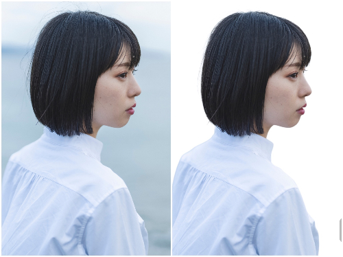 切り抜いた画像の比較