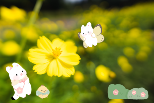 趣味や好きなものを取り入れる