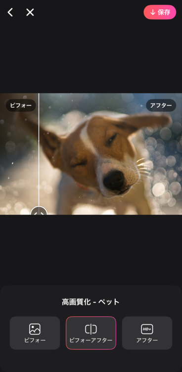 写真を保存する