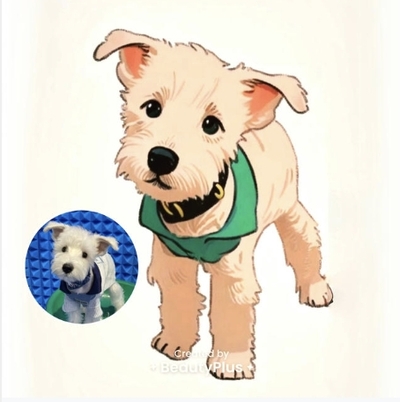 pet-portrait-dog