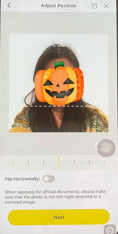 BeautyPlus photo ID step 6