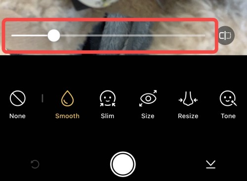apple mode - adjust retouch degree